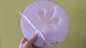 IMG_20171031_093450370